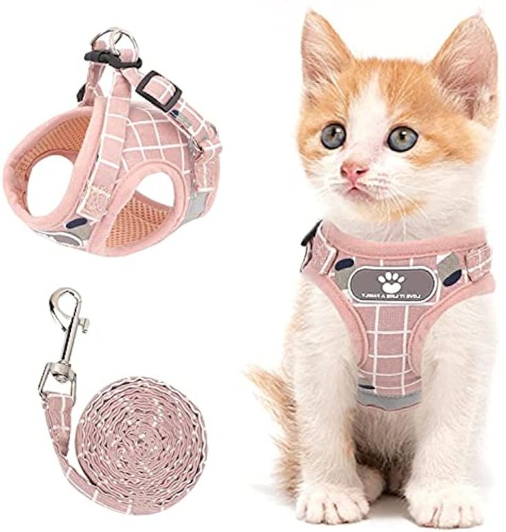 PET COLLAR