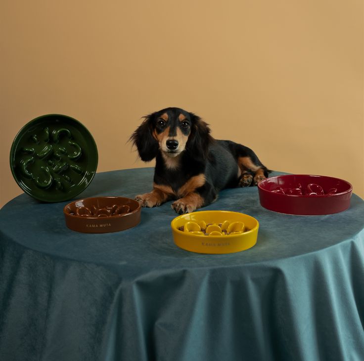 FEEDING BOWL